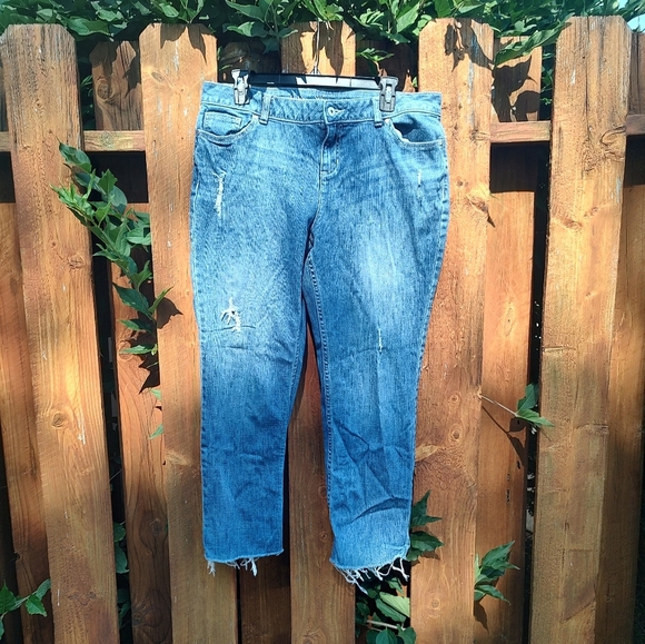 Simply Vera Wang Straight Size 14 Distressed Jeans! - Picture 8 of 14